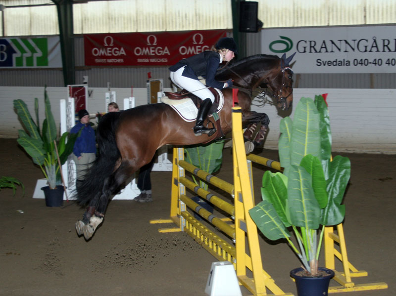 20080405_145626 Tora Matsson Fairy Tales Capisco